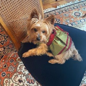 Meet your Posher, Cindy